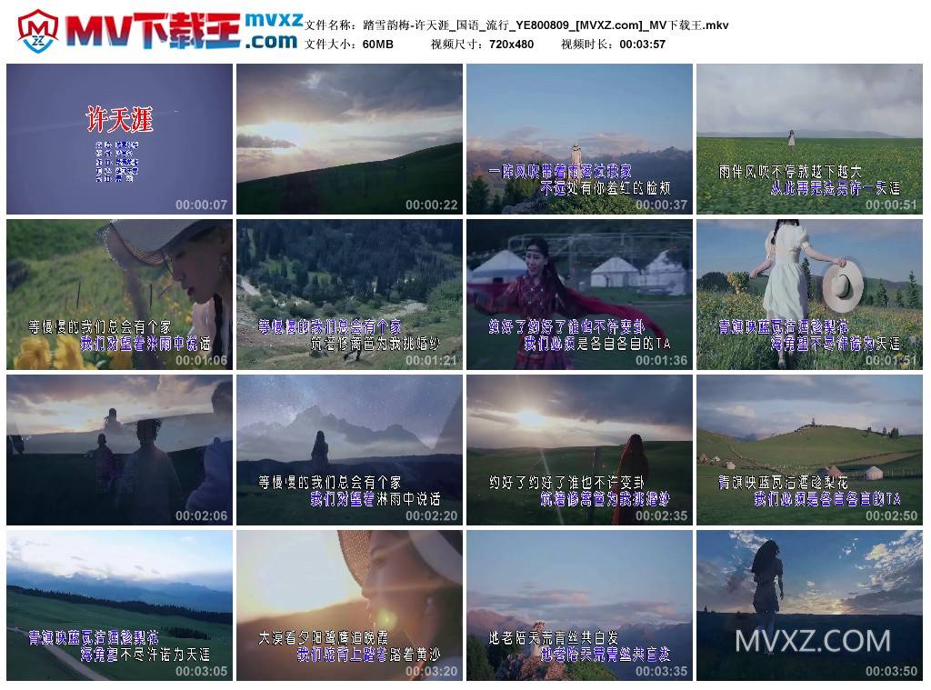 踏雪韵梅-许天涯_国语_流行_YE800809